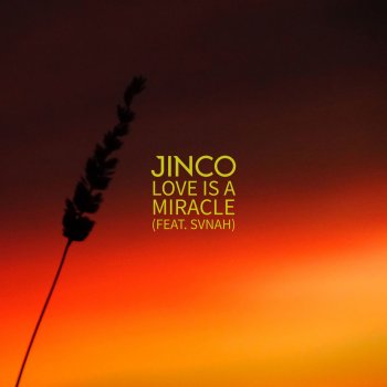 Jinco feat. SVNAH Love is a Miracle