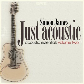 Simon James I've Just Seen A Face [as made famous by The Beatles]