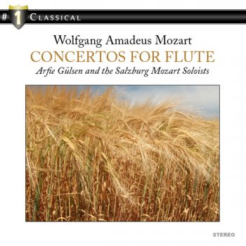 Salzburg Soloists feat. Arife Gülsen Tatu Andante in C Major for Flute and Orchestra, K. 315