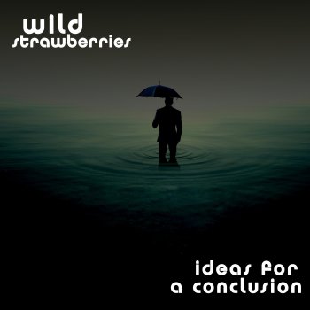 Wild Strawberries Ideas for a Conclusion