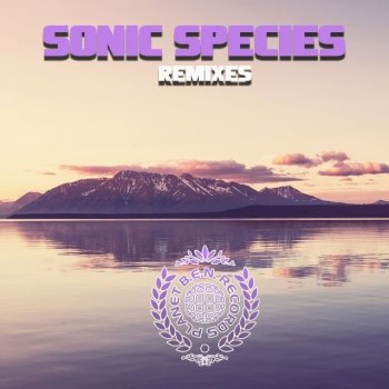 Sonic Species Infinity (Spinal Fusion Remix)