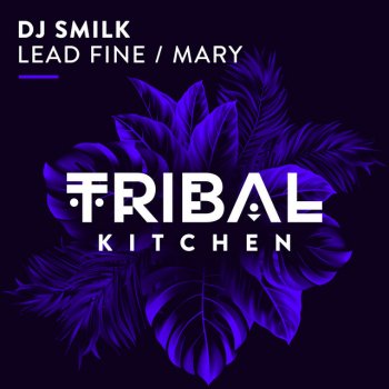 DJ Smilk Lead Fine - Original Mix