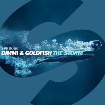 Dimmi feat. GoldFish The Storm - Radio Edit