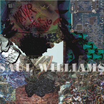 Saul Williams The Noise Came from Here