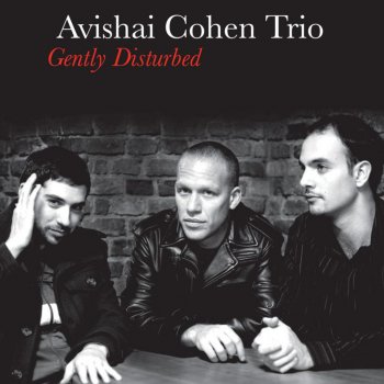 Avishai Cohen Trio Structure In Emotion