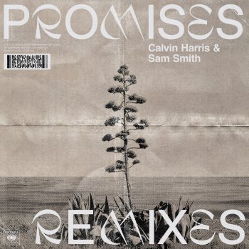Calvin Harris feat. Sam Smith Promises (Mousse T.'s Disco Shizzle Remix)