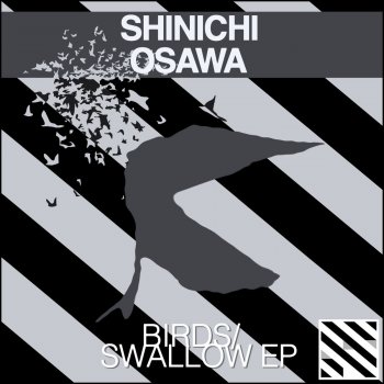 Shinichi Osawa Swallow (Bart B More Remix)