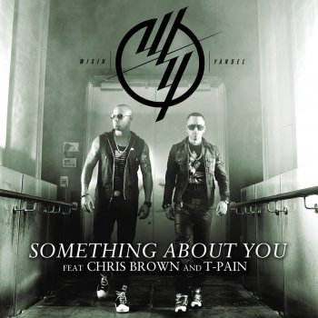 Wisin & Yandel feat. Chris Brown & T-Pain Something About You