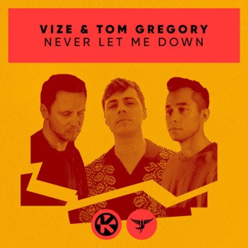 VIZE feat. Tom Gregory Never Let Me Down
