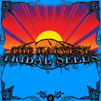 Tribal Seeds Libertad (feat. Dready)