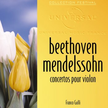 Ludwig van Beethoven, Franco Gulli, Orchestre des Concerts Lamoureux & Rudolf Albert Concerto Pour Violon Et Orchestre Op.61 - En Ré Majeur: 2. Larghetto