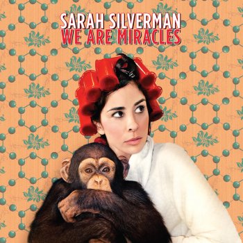 Sarah Silverman Looking Inward