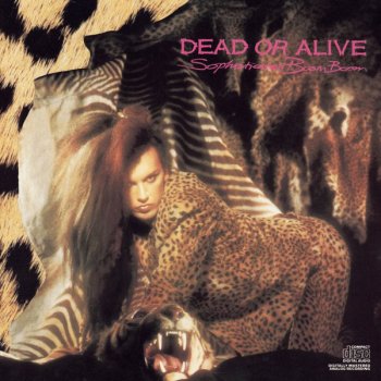 Dead or Alive Misty Circles - Dance Mix