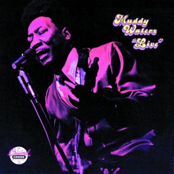 Muddy Waters What Is That She Got (Live)