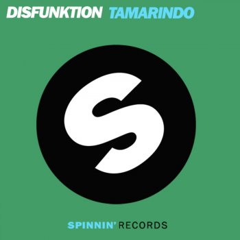 Disfunktion feat. Muzikjunki Tamarindo - Muzikjunki Remix