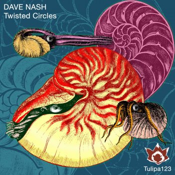 Dave Nash Twisted Circles - Original Mix