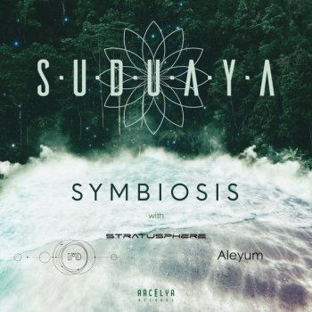 Aleyum feat. Suduaya Kelp Forest