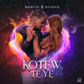 Shishie feat. Wanito Kotew Te Ye (feat. Wanito)