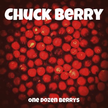 Chuck Berry Rock & Roll Music