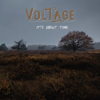 VoltAge The Victim