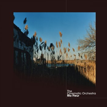 The Cinematic Orchestra Music Box