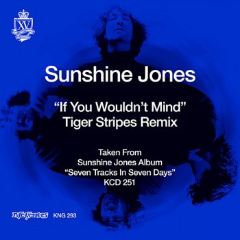 Sunshine Jones If You Wouldn't Mind (Tiger Stripes Remix)