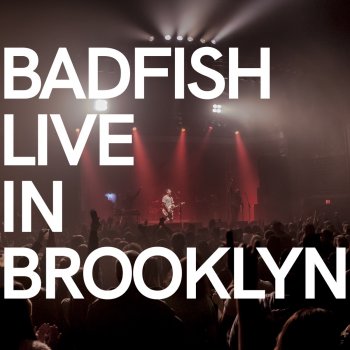 Badfish Same in the End