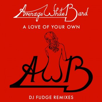 Average White Band A Love of Your Own (DJ Fudge Remix)