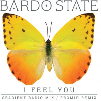 Bardo State I Feel You (Gradient Radio Mix)