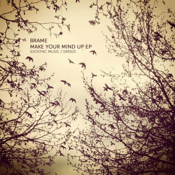 Brame Make Your Mind Up (Rekreation Remix)