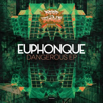 Euphonique feat. DJ Hybrid Oi