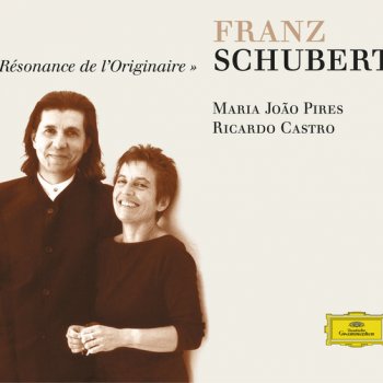 Franz Schubert feat. Ricardo Castro Piano Sonata No.14 In A Minor, D.784: 2. Andante