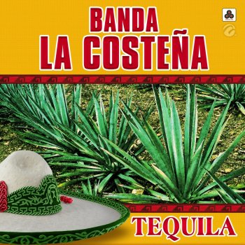 Banda La Costeña Arriba Sinaloa