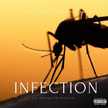 Lil Mosquito Disease feat. Yung Schmoobin, Lil Flexer & Emyiei Captain Out of Tune, Pt. 2