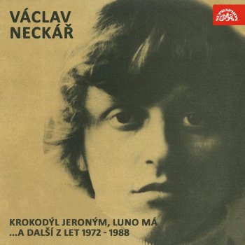 Václav Neckář Žonglér