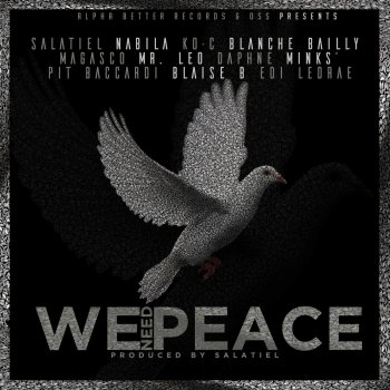 Salatiel feat. Nabila, Ko-C, Blanche Bailly, Magasco, Daphné, Mr. Leo, Blaise B, Pit Baccardi, Edi Ledrae & Mink's We Need Peace