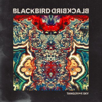 Blackbird Blackbird Visionary (iTunes Exclusive)