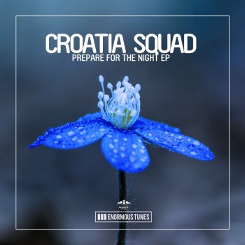 Croatia Squad Ask Around