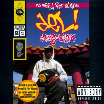 Del the Funky Homosapien Don't Forget