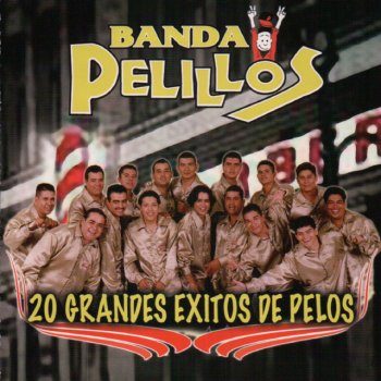 Banda Pelillos La Pachanguera