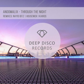 Andomalix feat. Housenick Through the Night - Housenick Remix