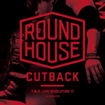 T.M.Revolution Private Storm(Live)(ROUND HOUSE CUTBACK)