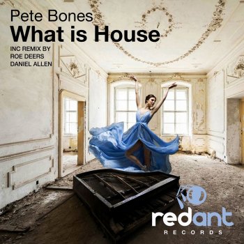 Pete Bones What Is House - Original Mix