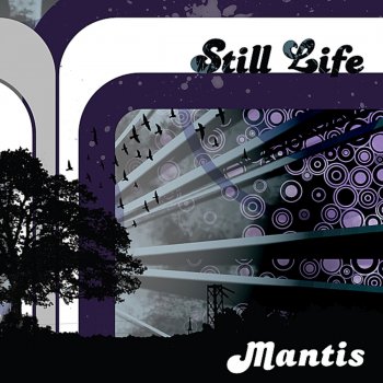 Mantis Still Life