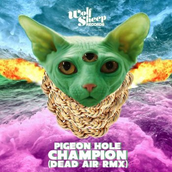 Pigeon Hole Champion - Dear Air Remix
