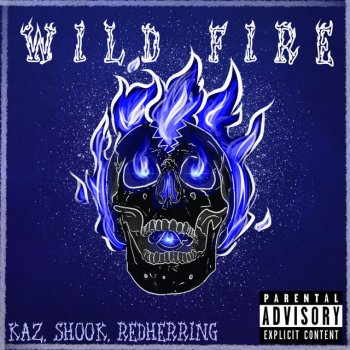 Kaz feat. Terry Redherring & Shook Wildfire