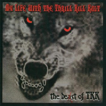 My Life With the Thrill Kill Kult Do U Fear (For Your Child)?