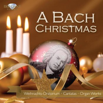 Johann Sebastian Bach feat. Netherlands Bach Collegium, Pieter Jan Leusink & Sytse Buwalda Ich freue mich in dir, BWV 133 for the Third Day of Christmas: II. Aria (Alto). Getrost! Es faßt ein heilger Leib