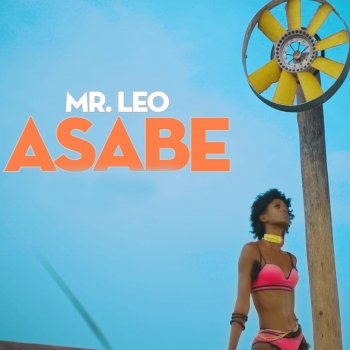 Mr Leo Asabe