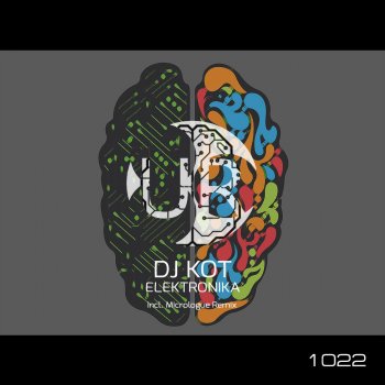 DJ KoT Flug Uber Der Erde - Original Mix